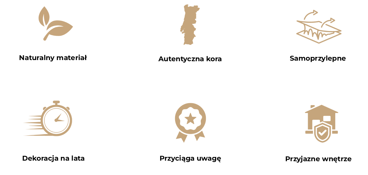 Obraz
            przedstawia psześć ikon opisujących zalety dekoracyjnej kory na ścianę.